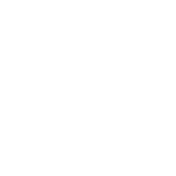 Service Level Manager